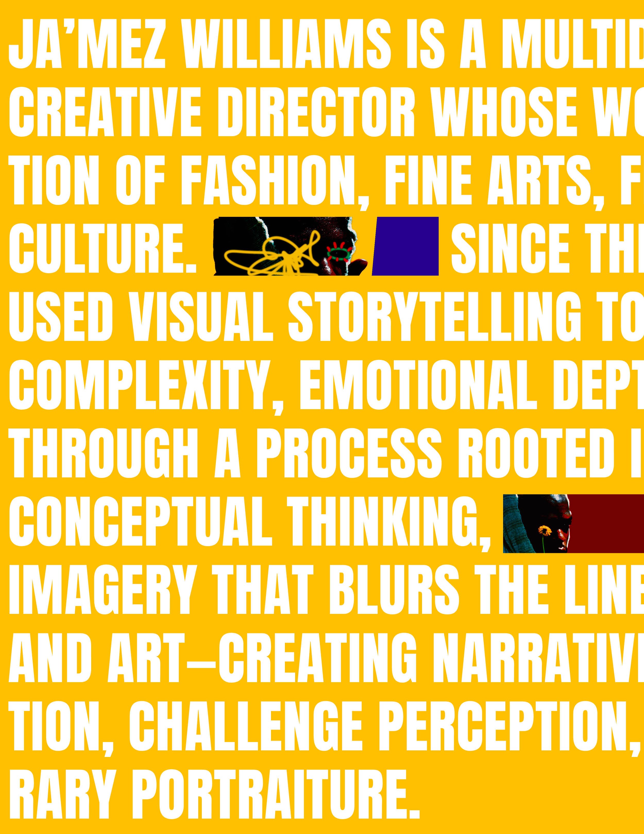 Text poster describing Ja'mez Williams as a multi-disciplinary creative director involved in fashion, fine arts, and culture, emphasizing visual storytelling and emotional expression.