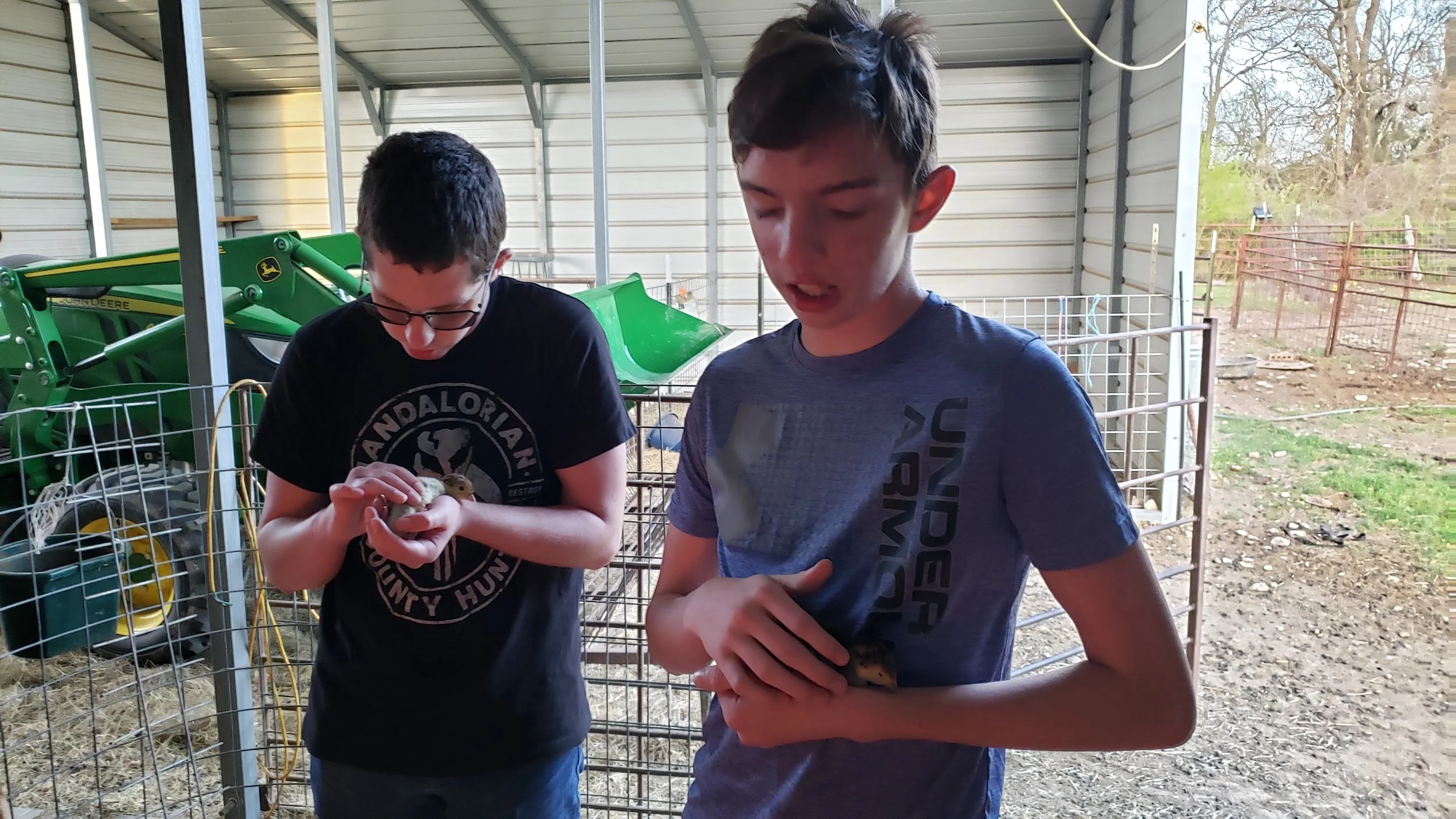 Double D Farm photo 2