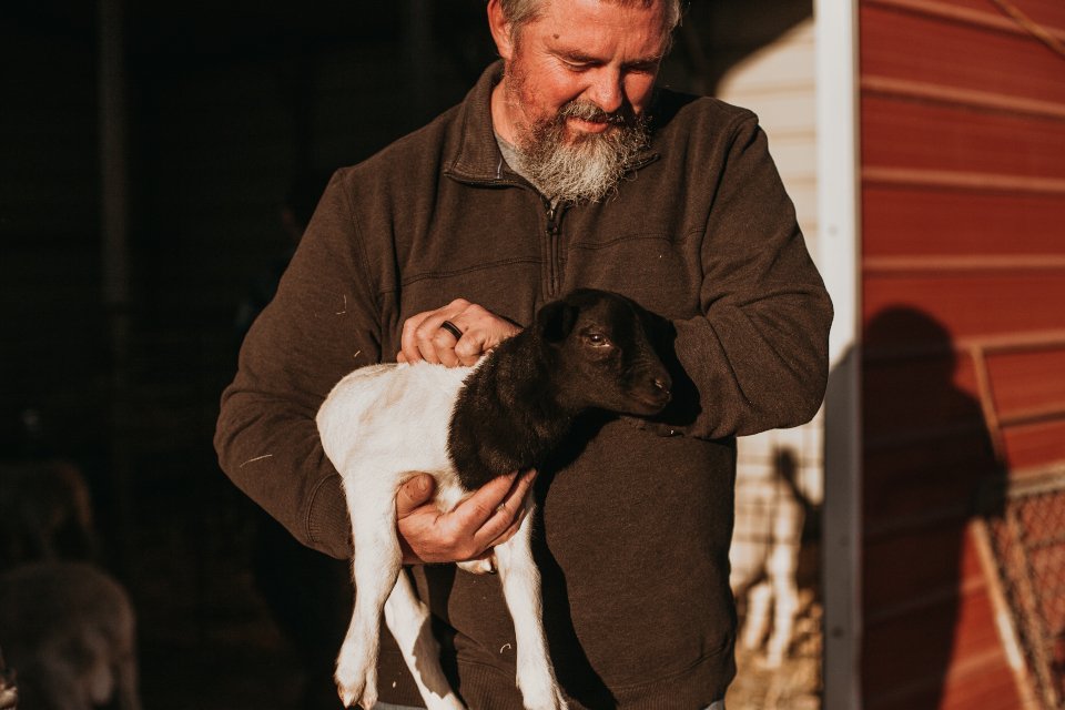 Double D Farm photo 8