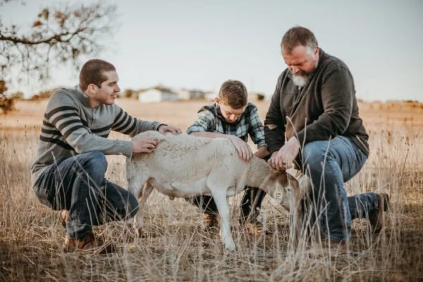 Double D Farm photo 15