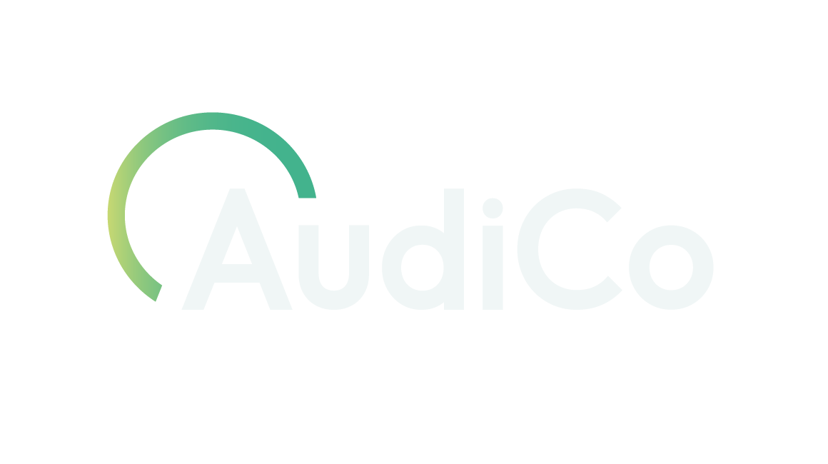 AudiCo | Firma Líder en Auditorías de Comercio Exterior en México