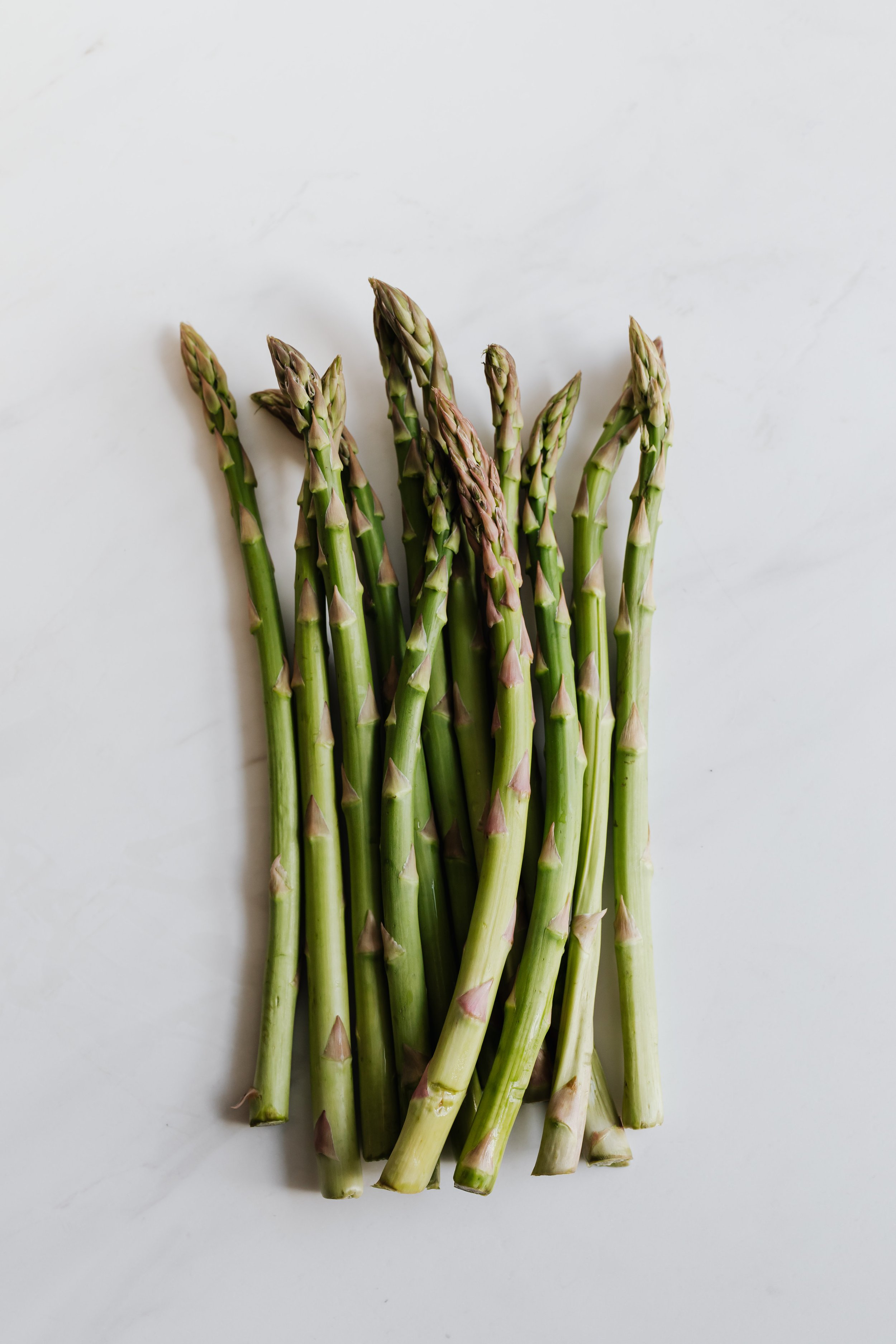 Jersey Giant Asparagus (Asparagus officinalis)