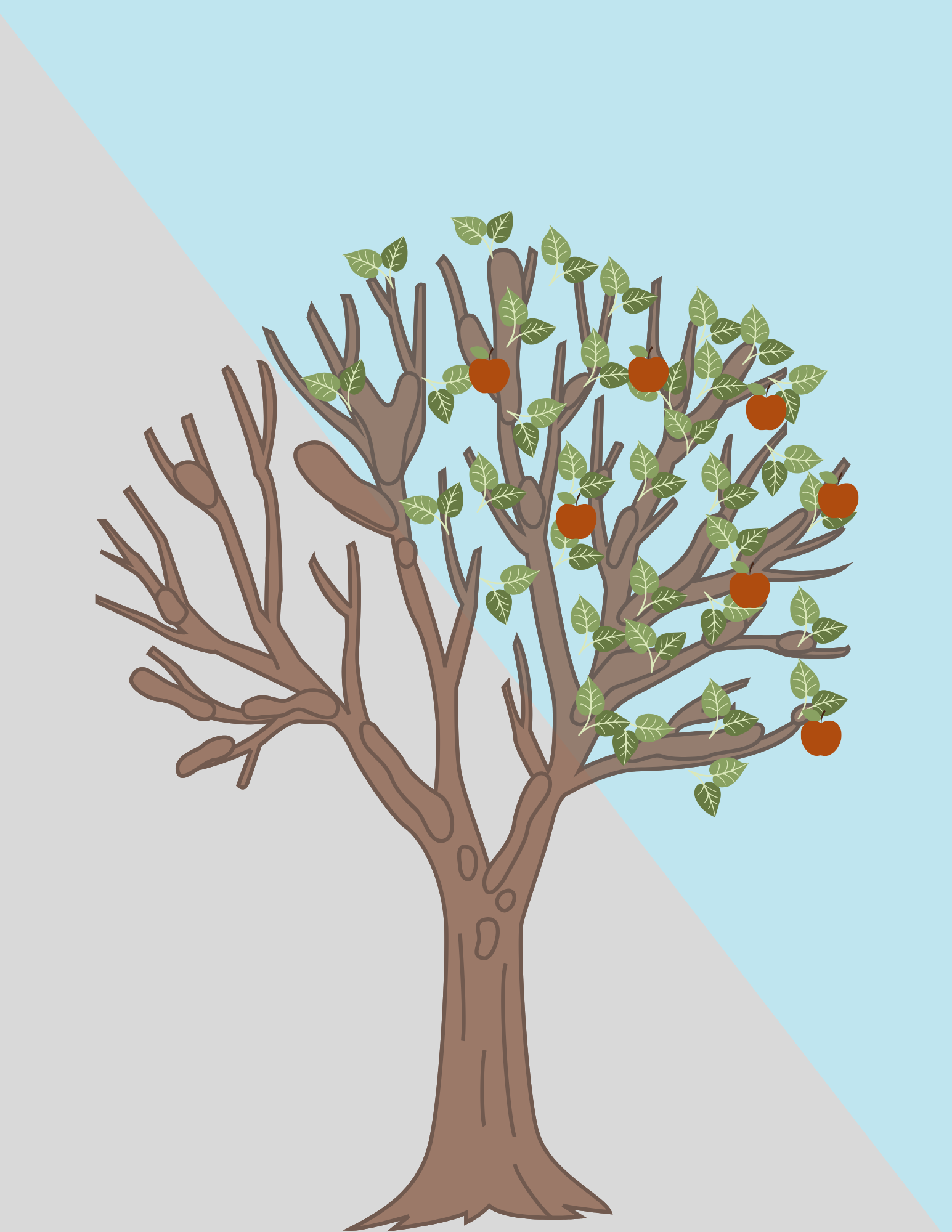 GRAPHIC FOR WEBSITE Fruit Tree Pruning.png