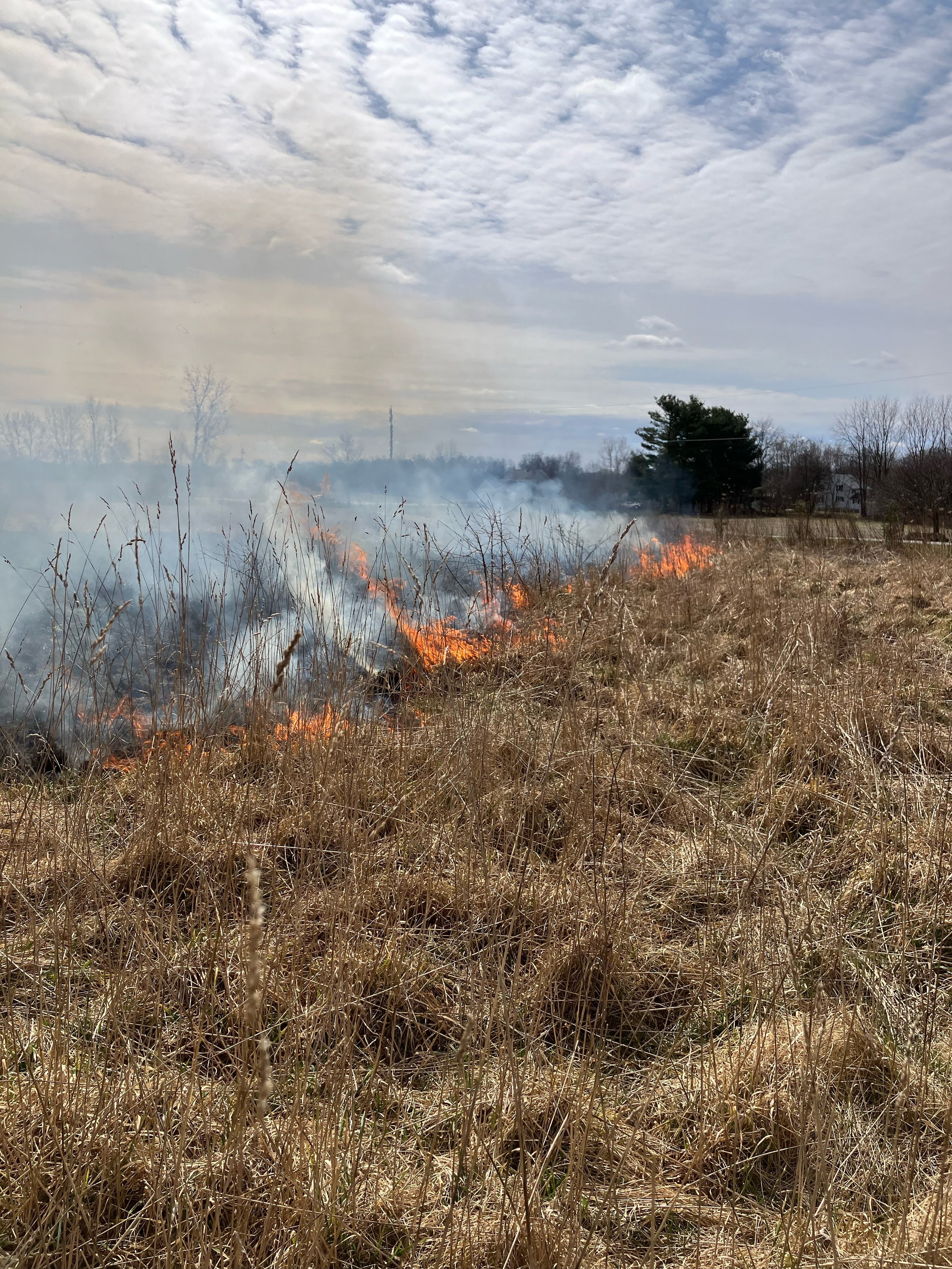 Public Technical Assistance — Branch County Conservation District