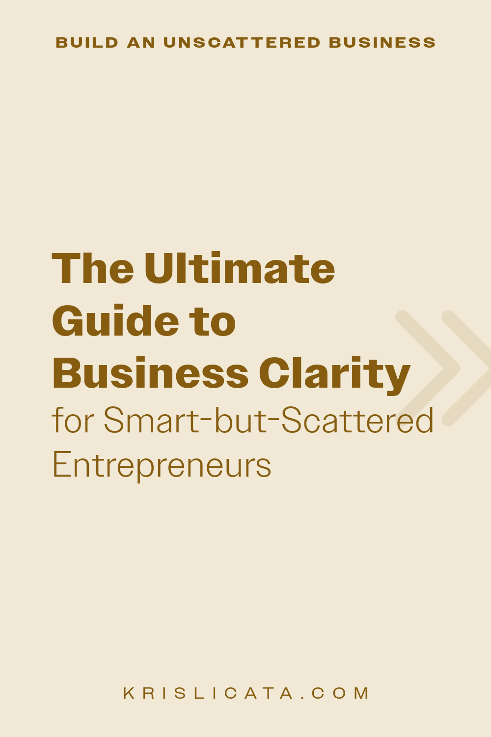 The Ultimate Guide to Business Clarity (for Smart-but-Scattered Entrepreneurs)