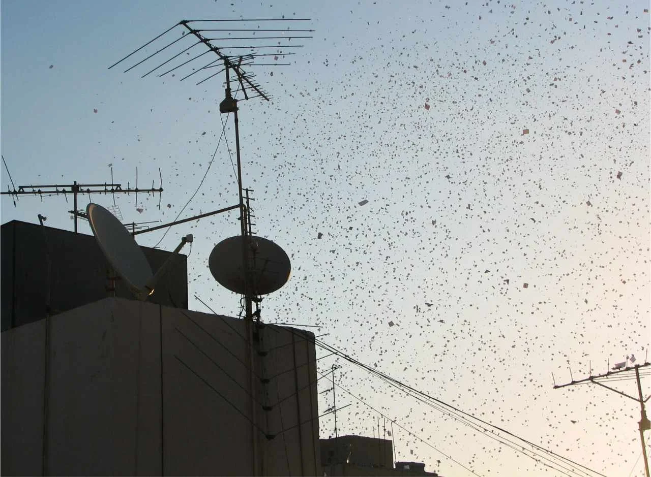 Sky leaflets.jpg