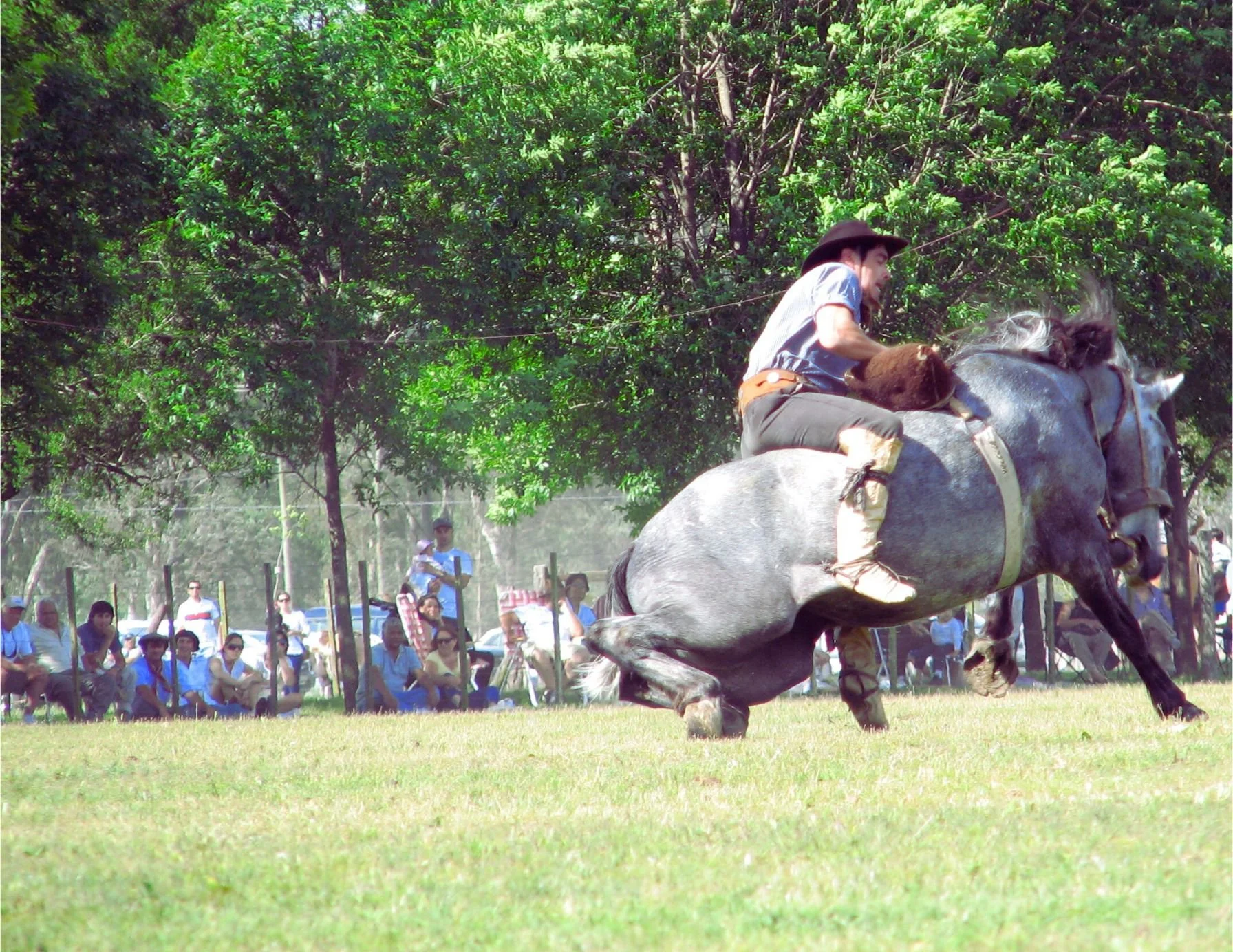 Untitled design(41).jpg