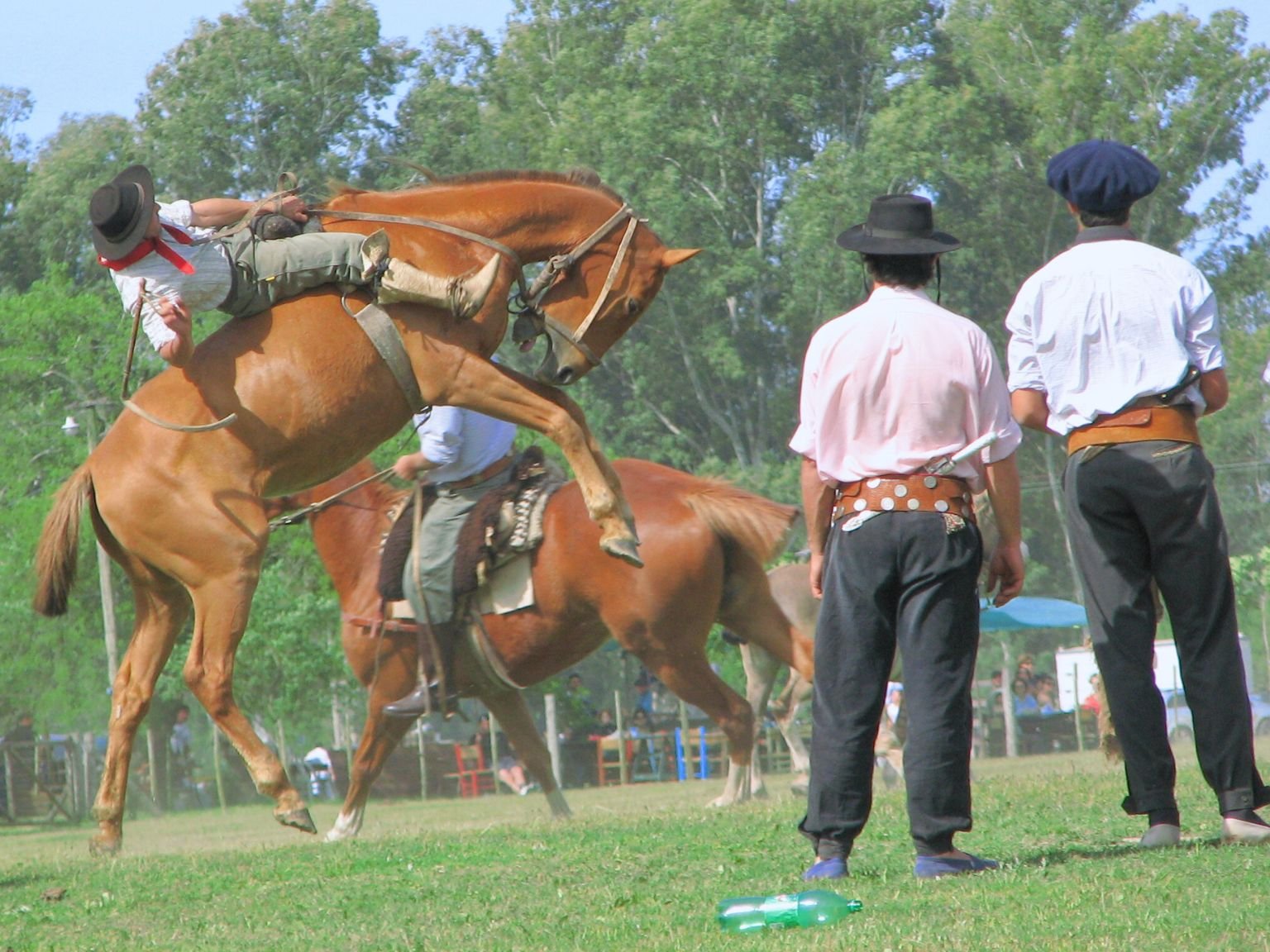 Argentina - GAUCHO FESTIVAL