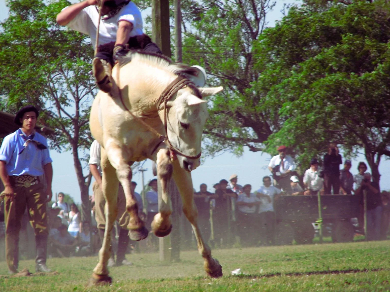 Untitled design(44).jpg