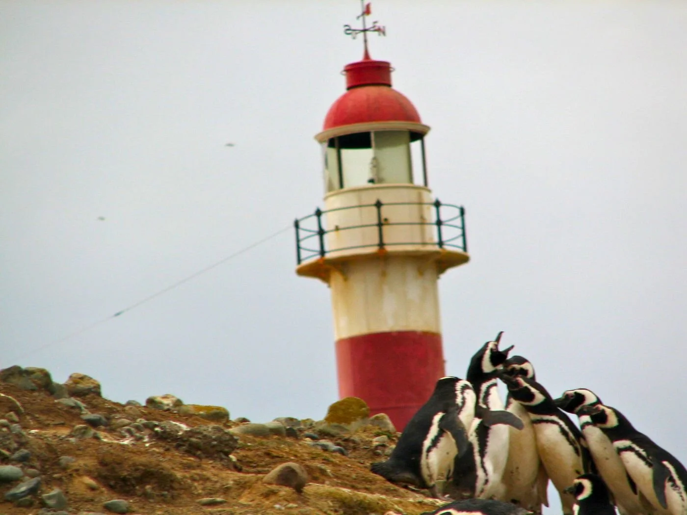 Untitled design(2).jpg