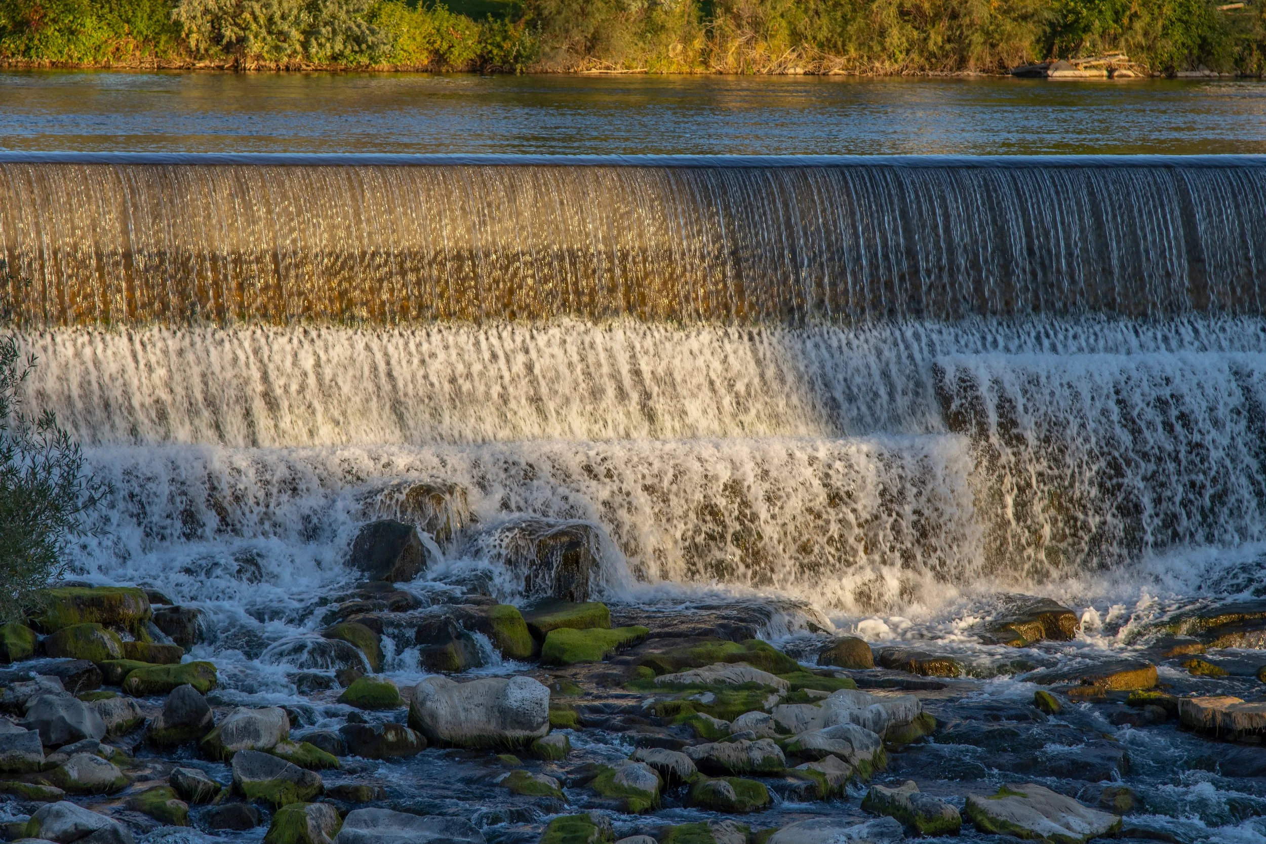 Conviértete En Miembro