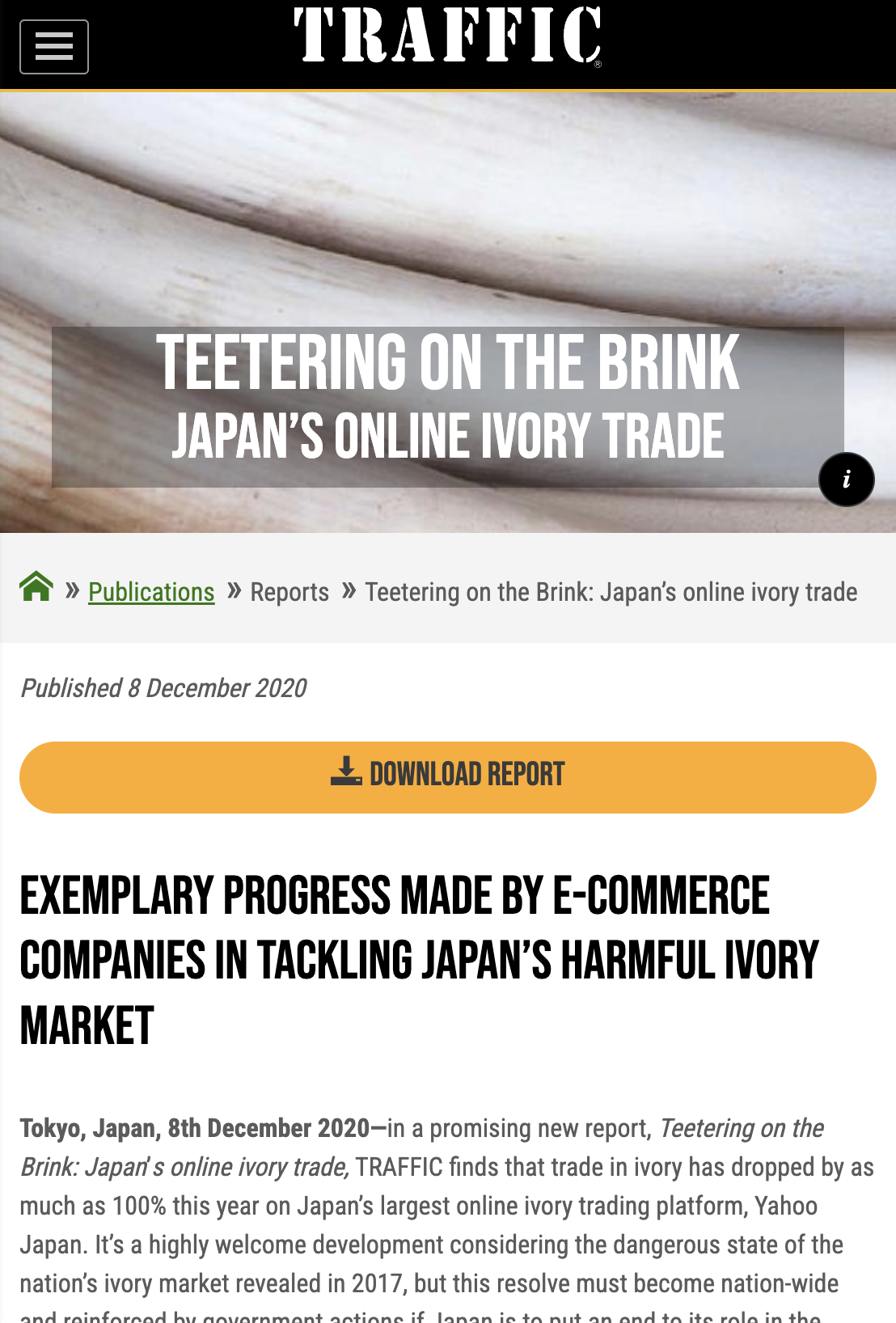 Teetering on the brink REPORT thumb.png