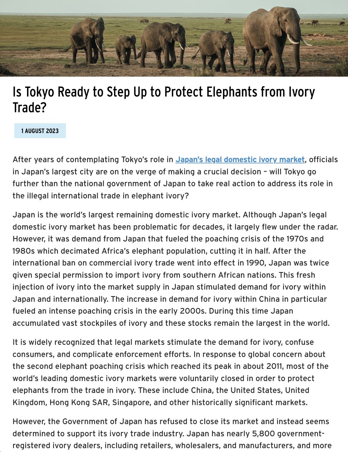 Is Tokyo Ready BLOG thumb.png