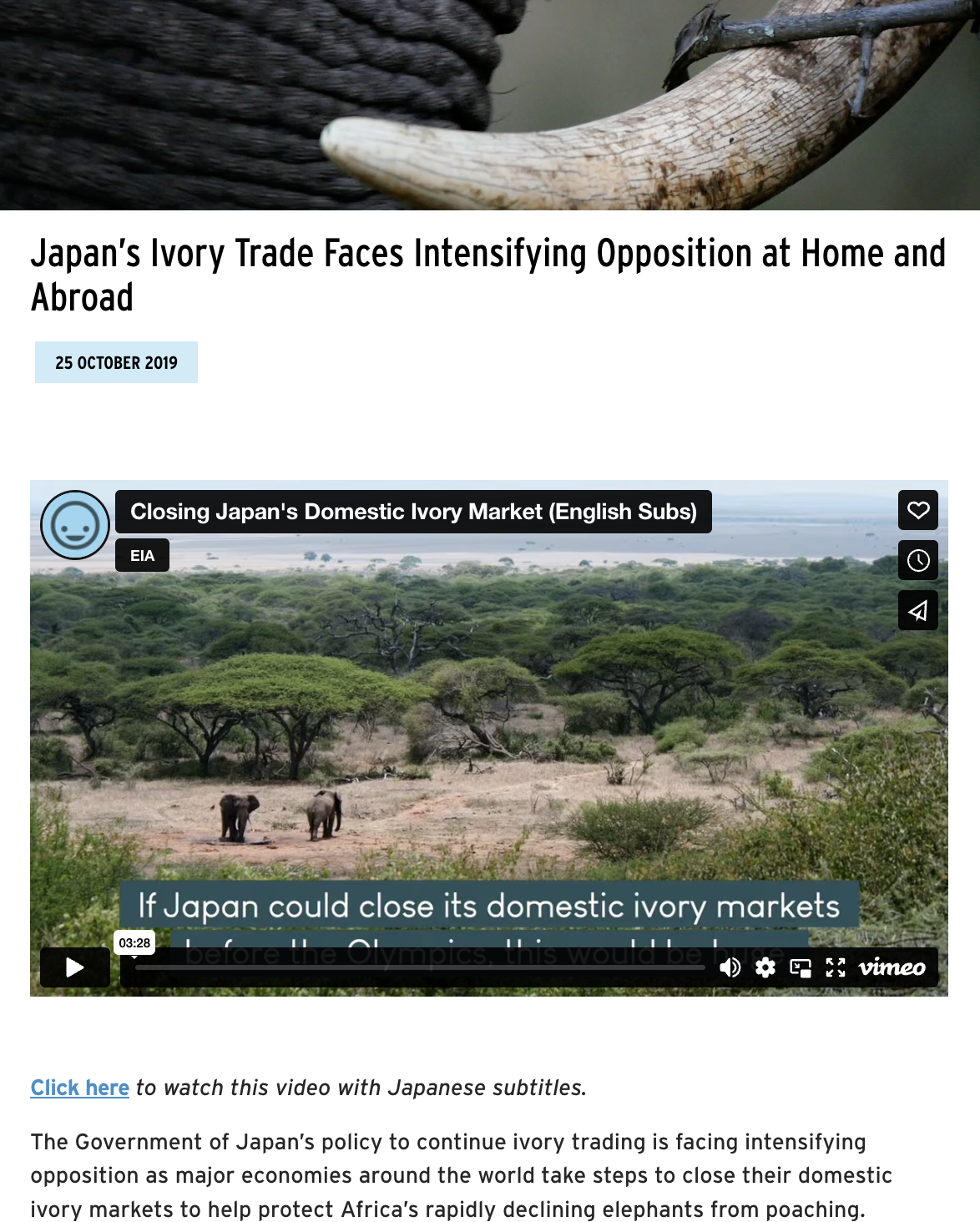 Japan’s Ivory Trade Faces BLOG thumb.png
