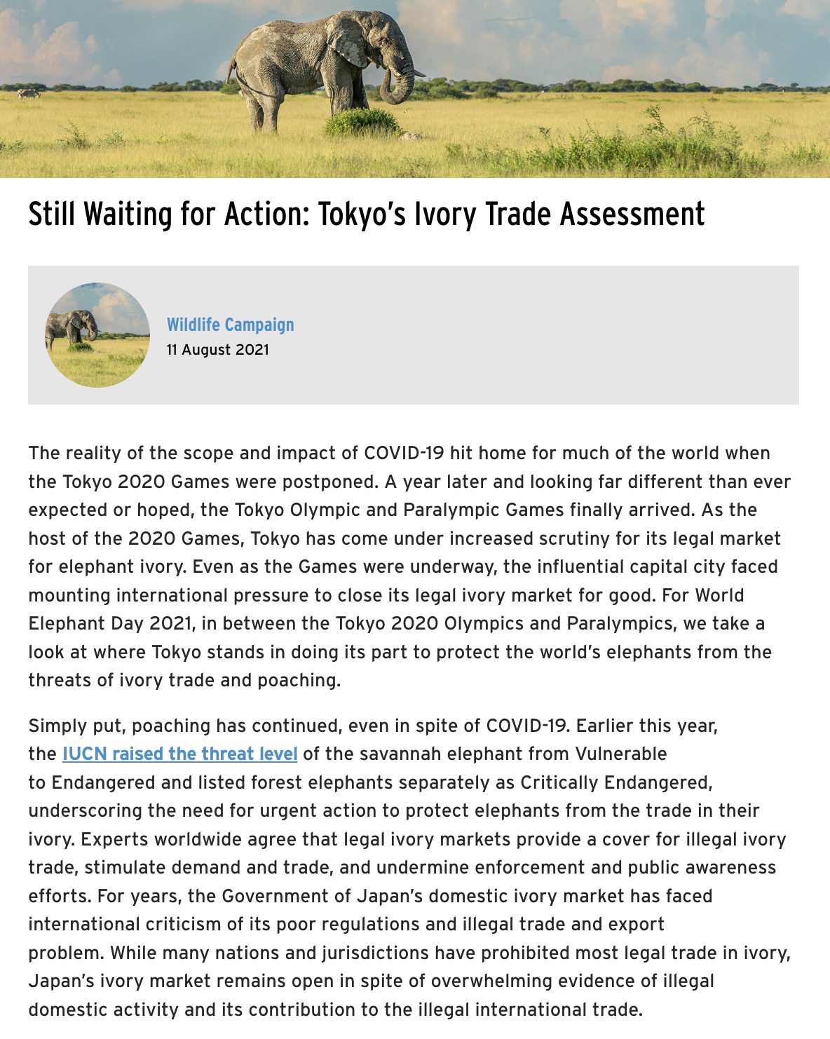 Still Waiting for Action BLOG thumb.png