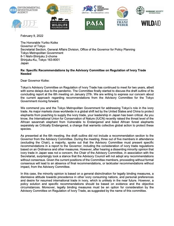 NGOs Appeal for Specific LETTER thumb.jpg