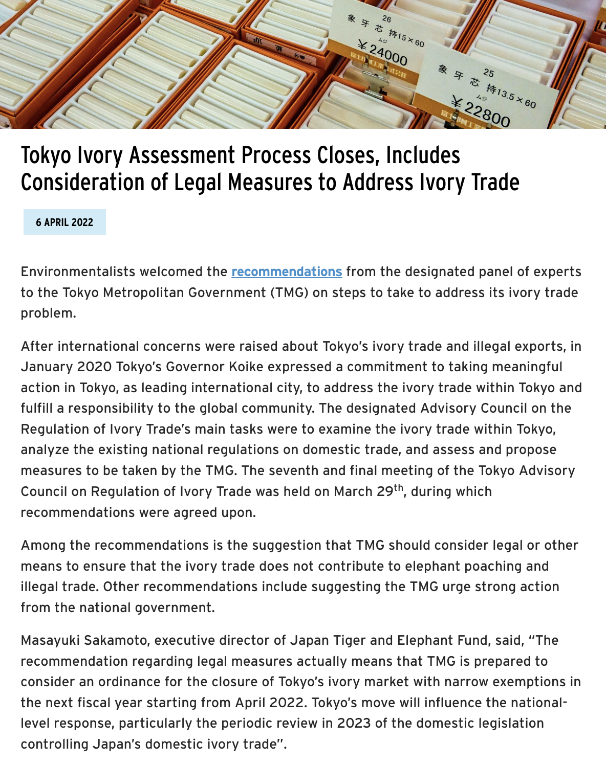 Tokyo Ivory Assessment BLOG thumb.png