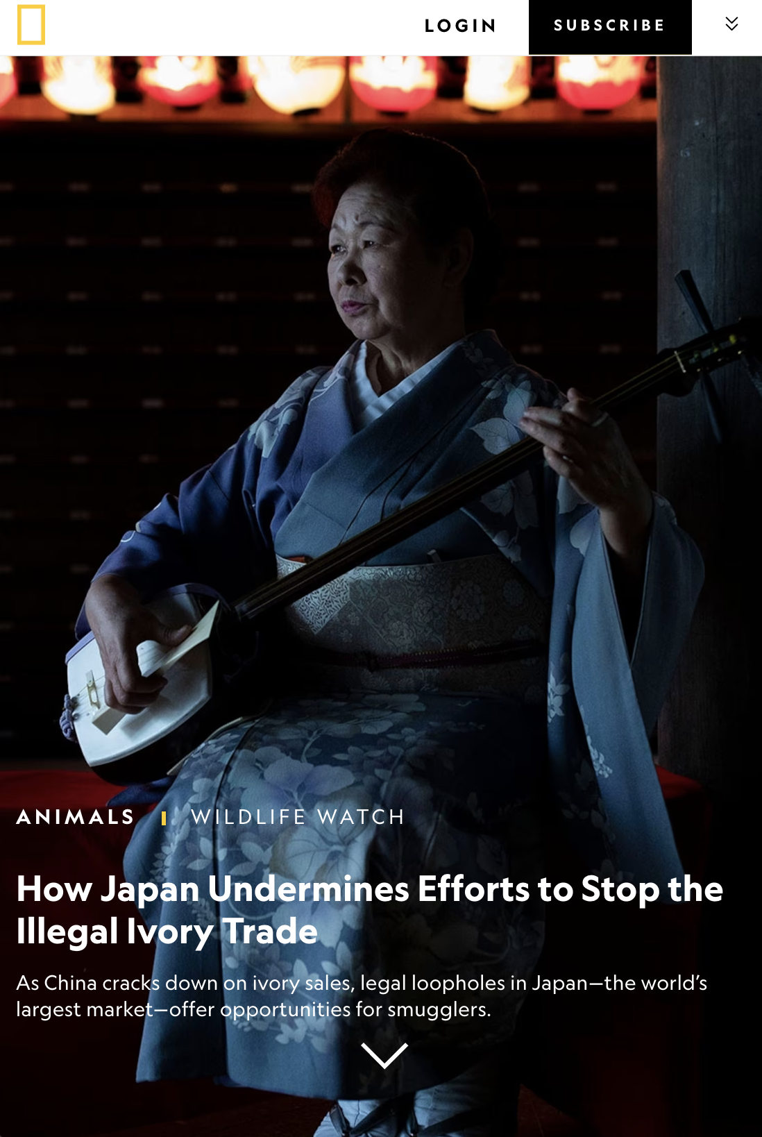 How Japan Undermines NEWS thumb.png