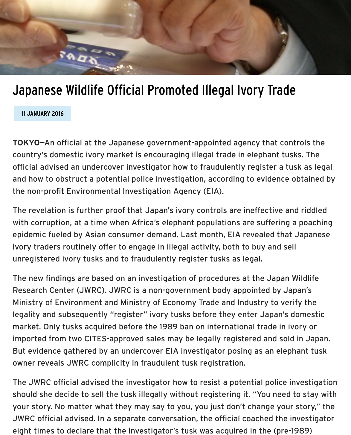 Japanese Wildlife Official BLOG thumb.png