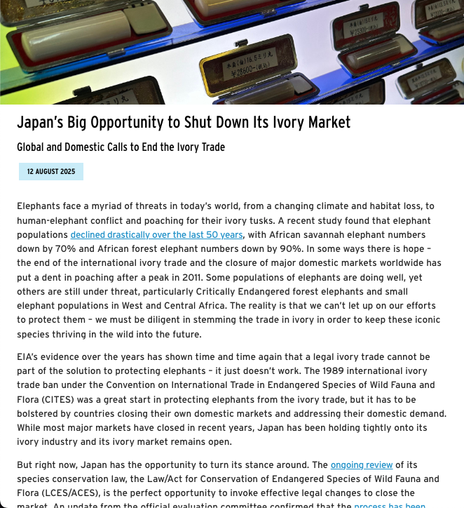 Screenshot 2025-08-27 at 9.45.49 AM.png