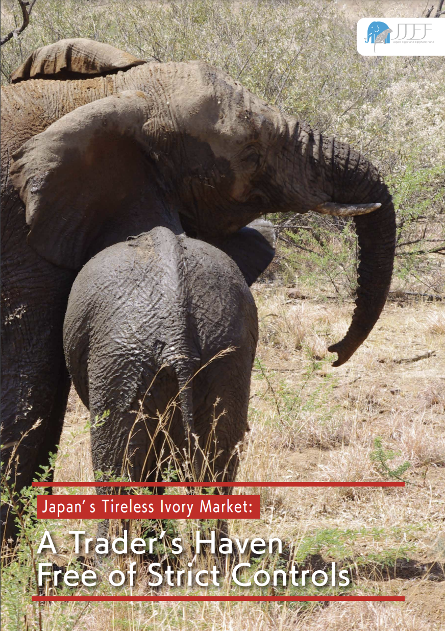 Japanʼ s Tireless Ivory Market REPORT thumb.png
