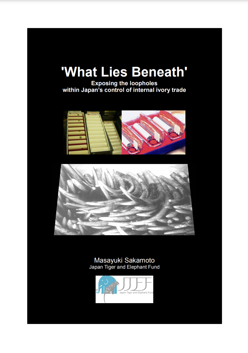 What Lies Beneath REPORT thumb.png