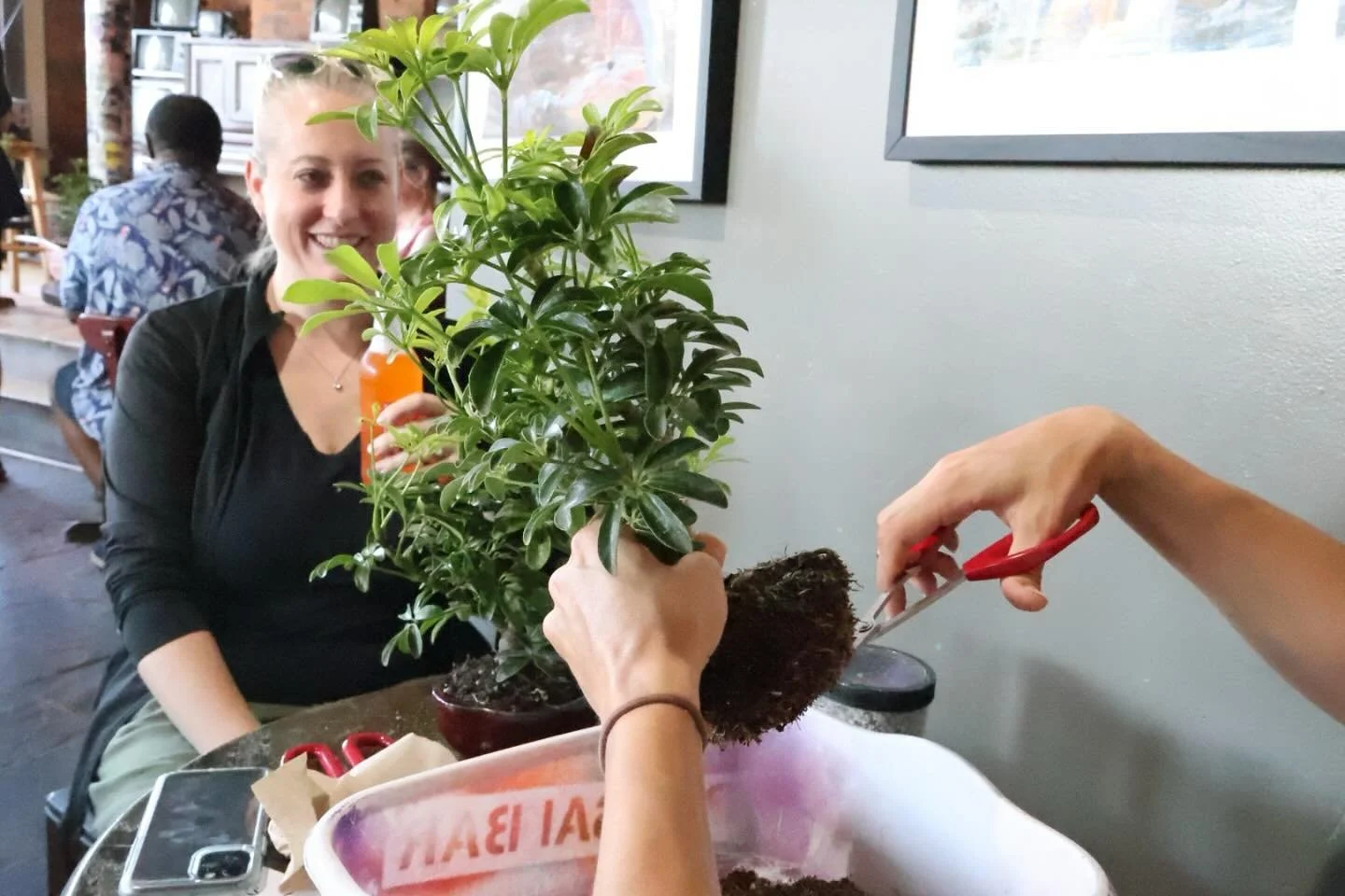 The most peaceful night of the week is HERE!
We still have some tickets left for tonight’s @thebonsaibar .
Tickets available online now until 5!
6 PM, we’ll be transforming our main room into a bonsai paradise for people to learn the ins