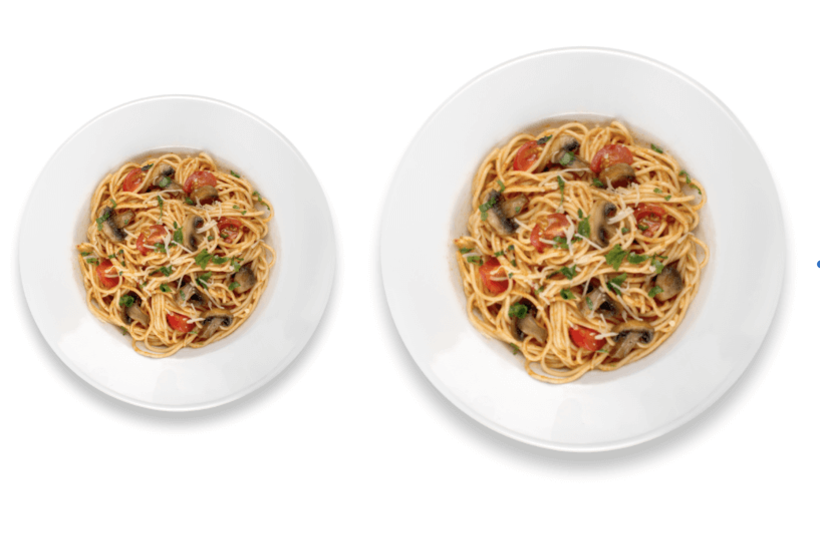 “¿Cuánto debo comer?”: Comprender el tamaño de ¨servida¨ y el tamaño de la porción