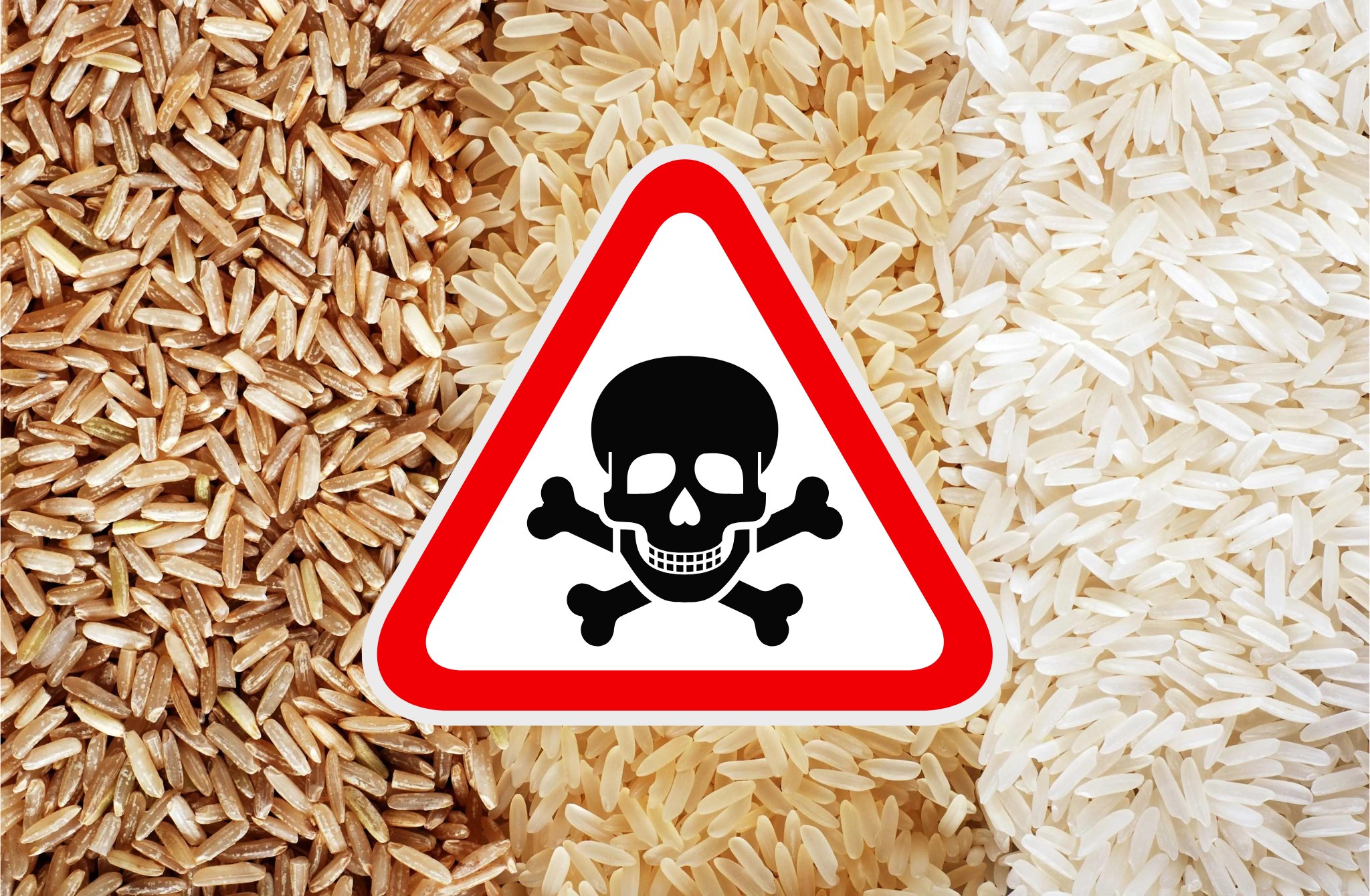 Arsénico en el arroz: ¿qué tan preocupados deberíamos estar?