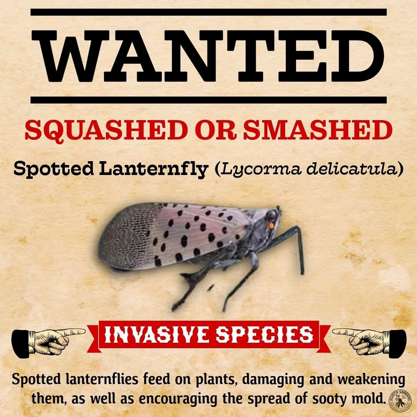 ⚠️WANTED: The Spotted Lanternfly. Guilty of destroying trees and plants. If you see one on property ➡️squash or smash them on sight! ⚠️