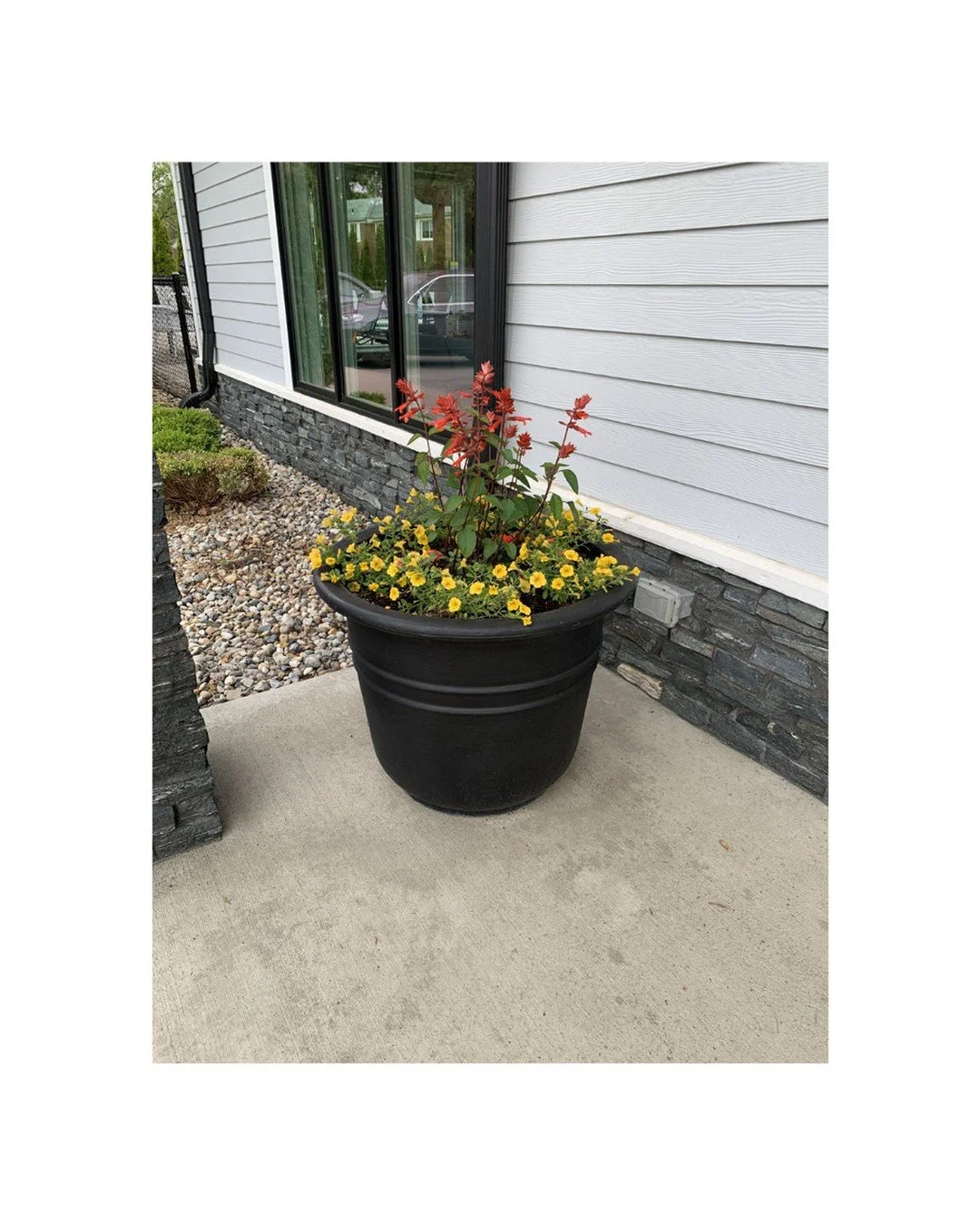 Hey Residents!
What flower instantly makes you think of spring? ☀️🌸
🌷 Tulips?
🌻 Sunflowers?
🌹 Roses?
🌺 Daisies?
Vote in the comments below! 👇
#theflatsatdouglas #mayflowers #lovewhereyoulive #flowerpower