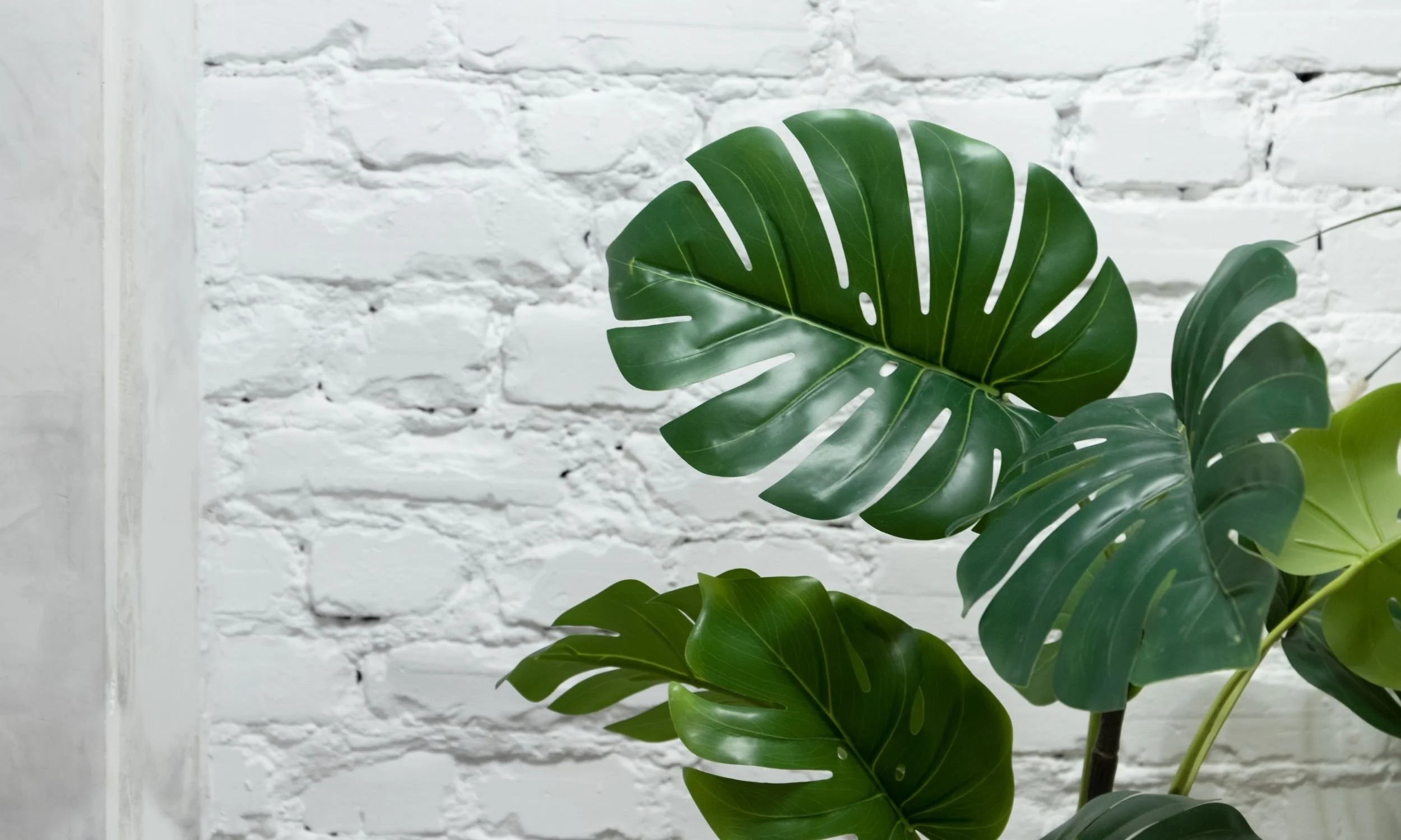 How to Use Google Search Console to Grow Your Therapy Practice