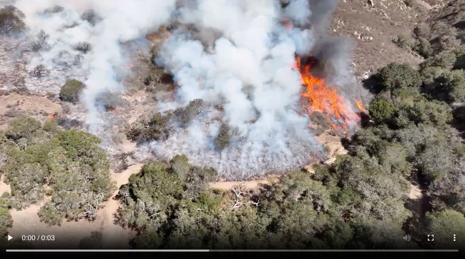 SJSU Wildfire Scientists Trailblaze Unprecedented Canyon Fire Research