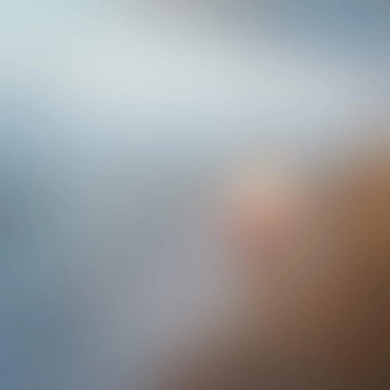 The image is blurred and indistinct, with no clear objects or features visible.