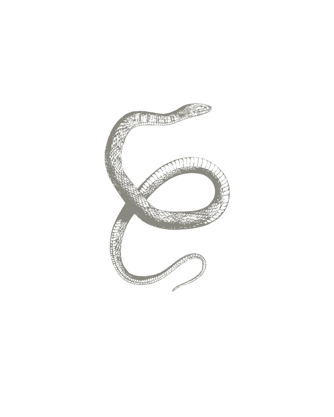 A black background with a gray, stylized illustration of a snake coiled in an artistic, curved shape.