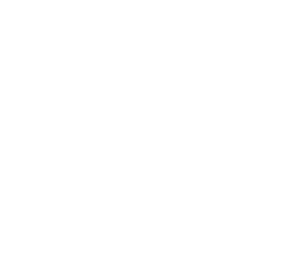 Jack Rabbit