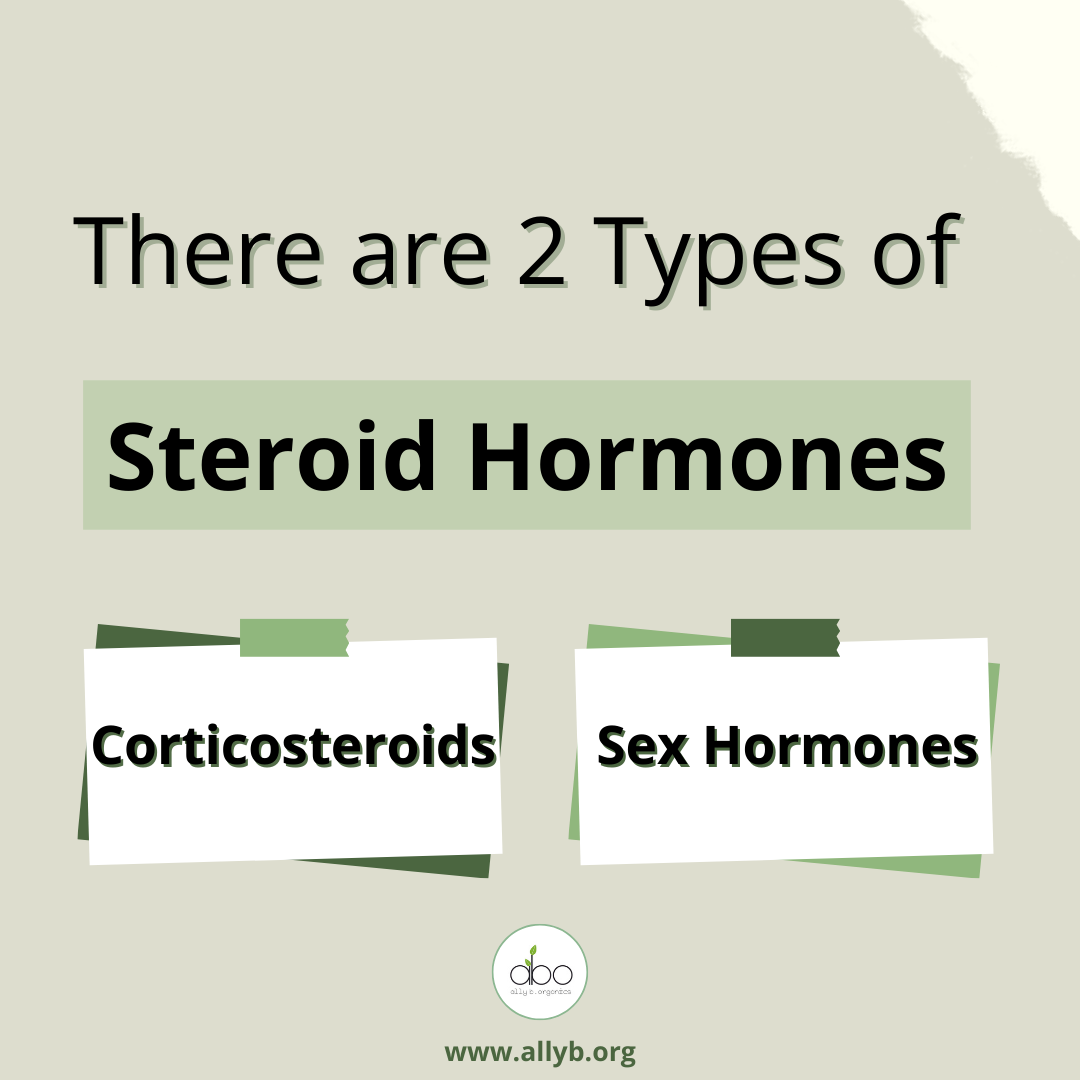 What are Steroid Hormones?