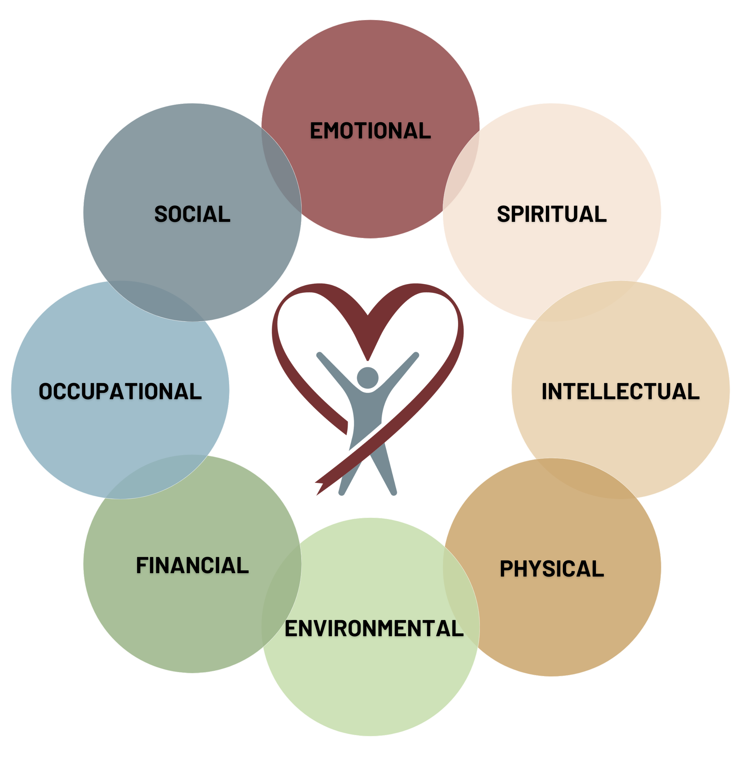 About The Wellness Wheel — Get Healthy Scott County