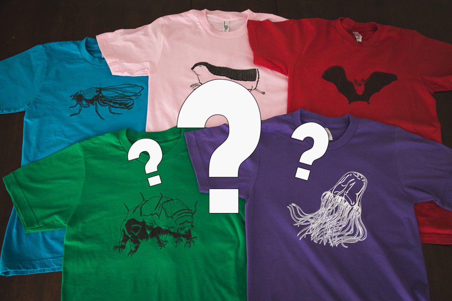 Mystery Grab Bag- Kid Sizes