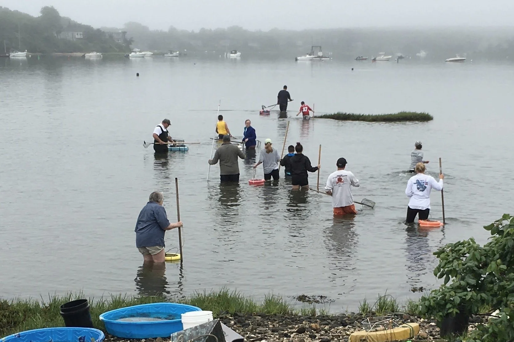 Lagoon Harbor Park and Landing — Tisbury Parks, Open Space & Recreation