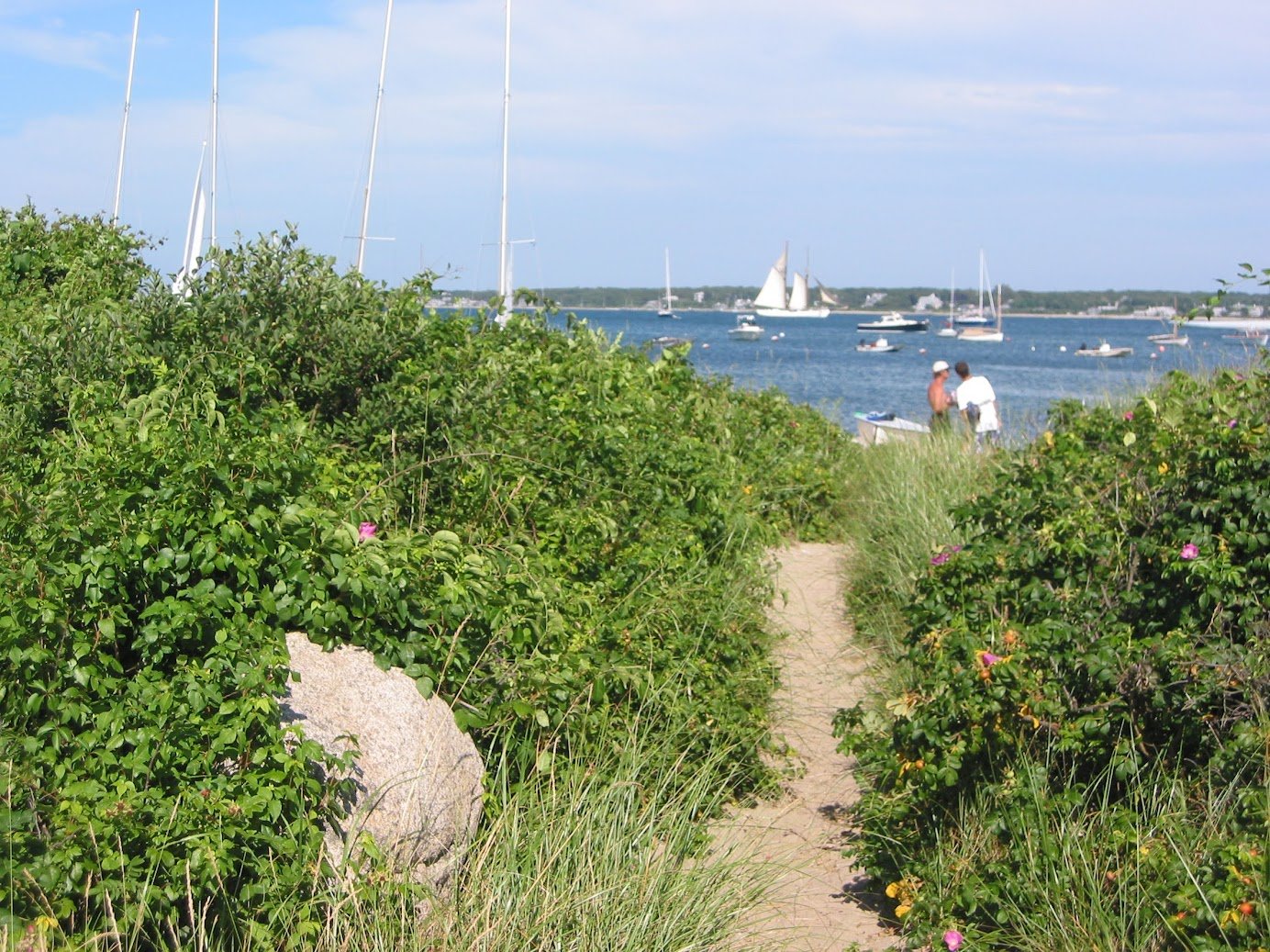 trail to beach.jpg
