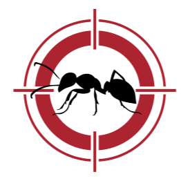 DBug+Logo+2024.png