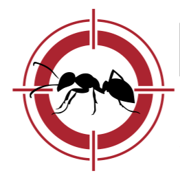 D Bug Pest Solutions