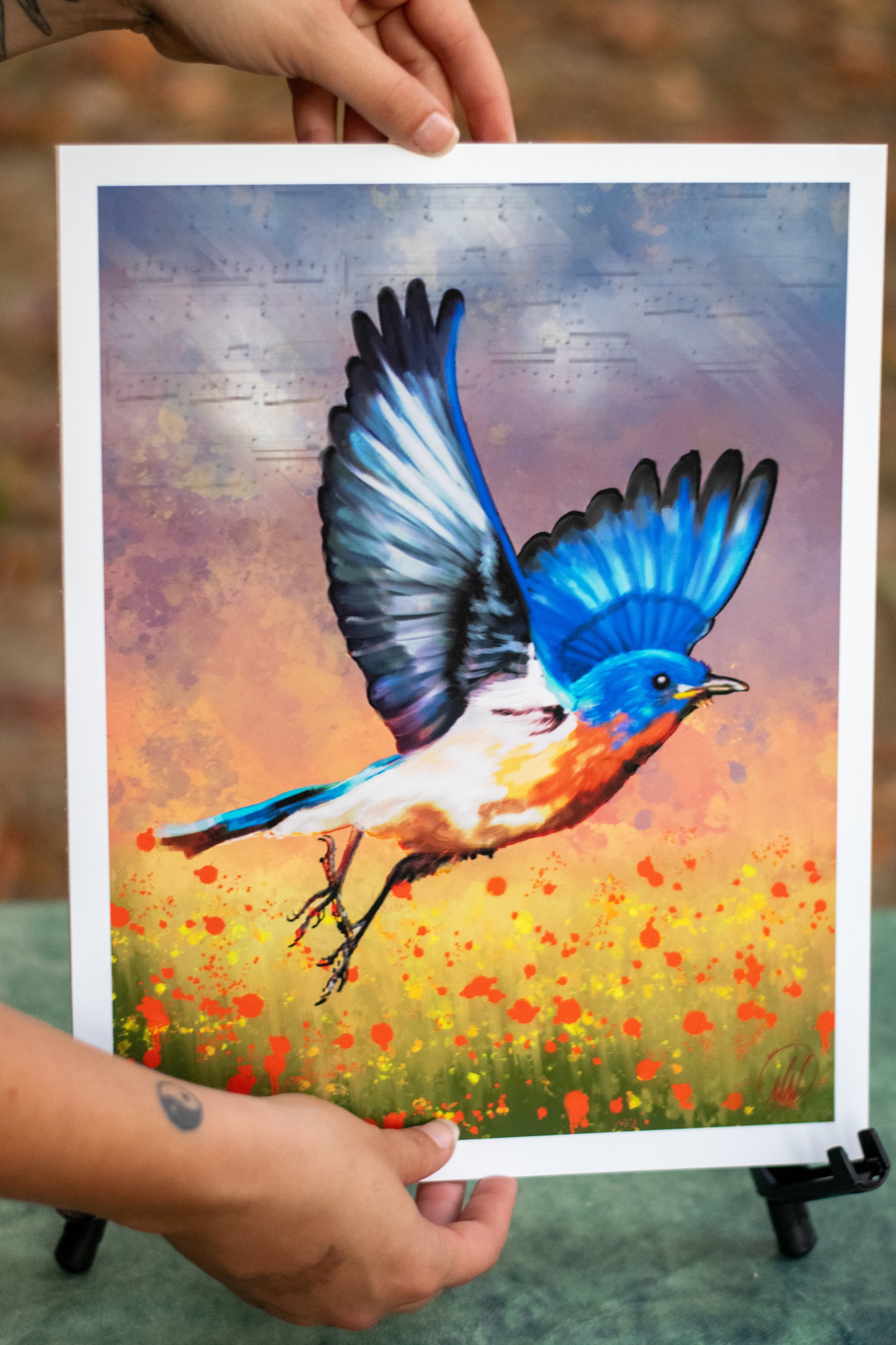 Blue Bird at Sunset