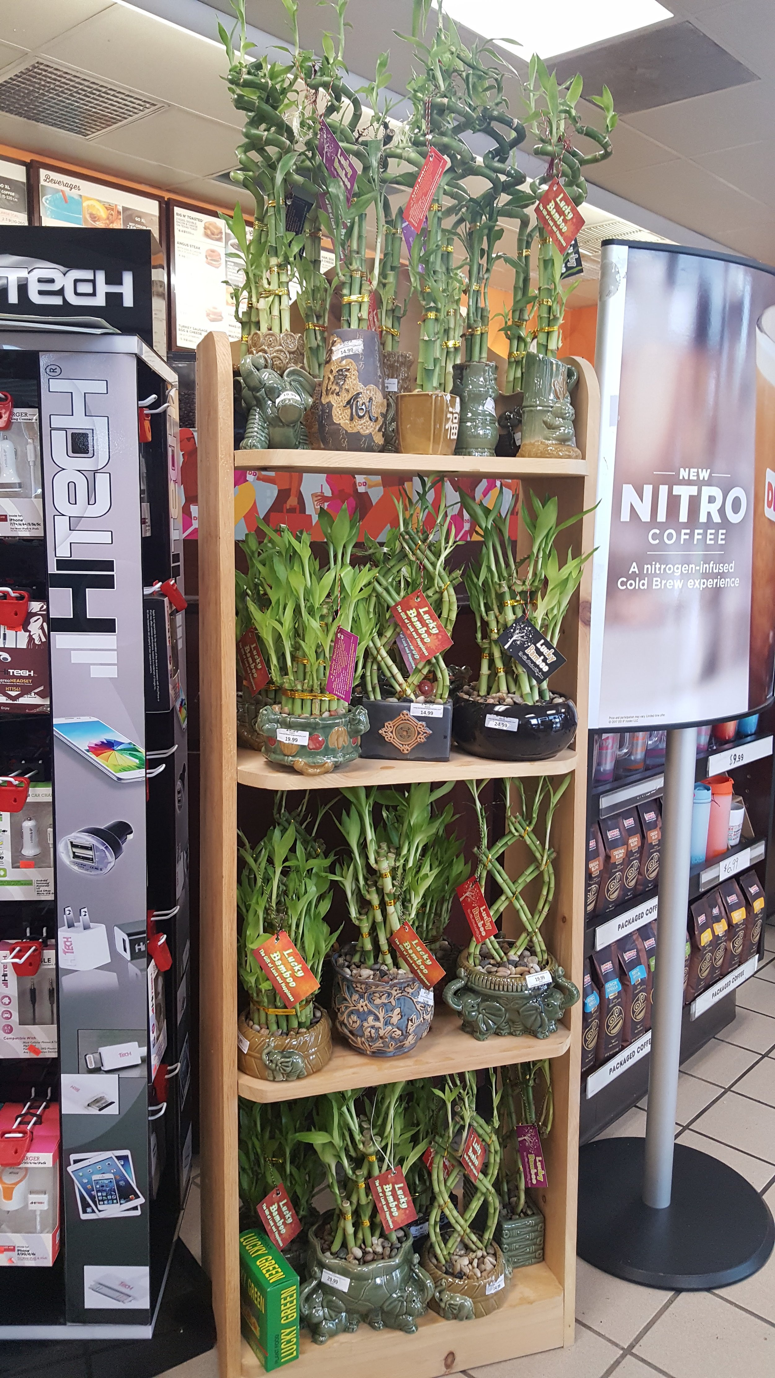Bamboo Shelf.jpg