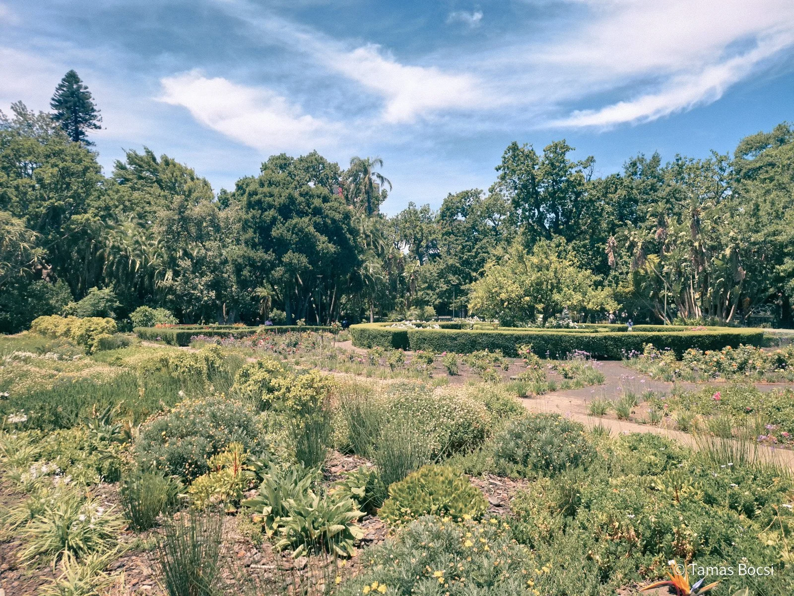The VOC Vegetable Garden