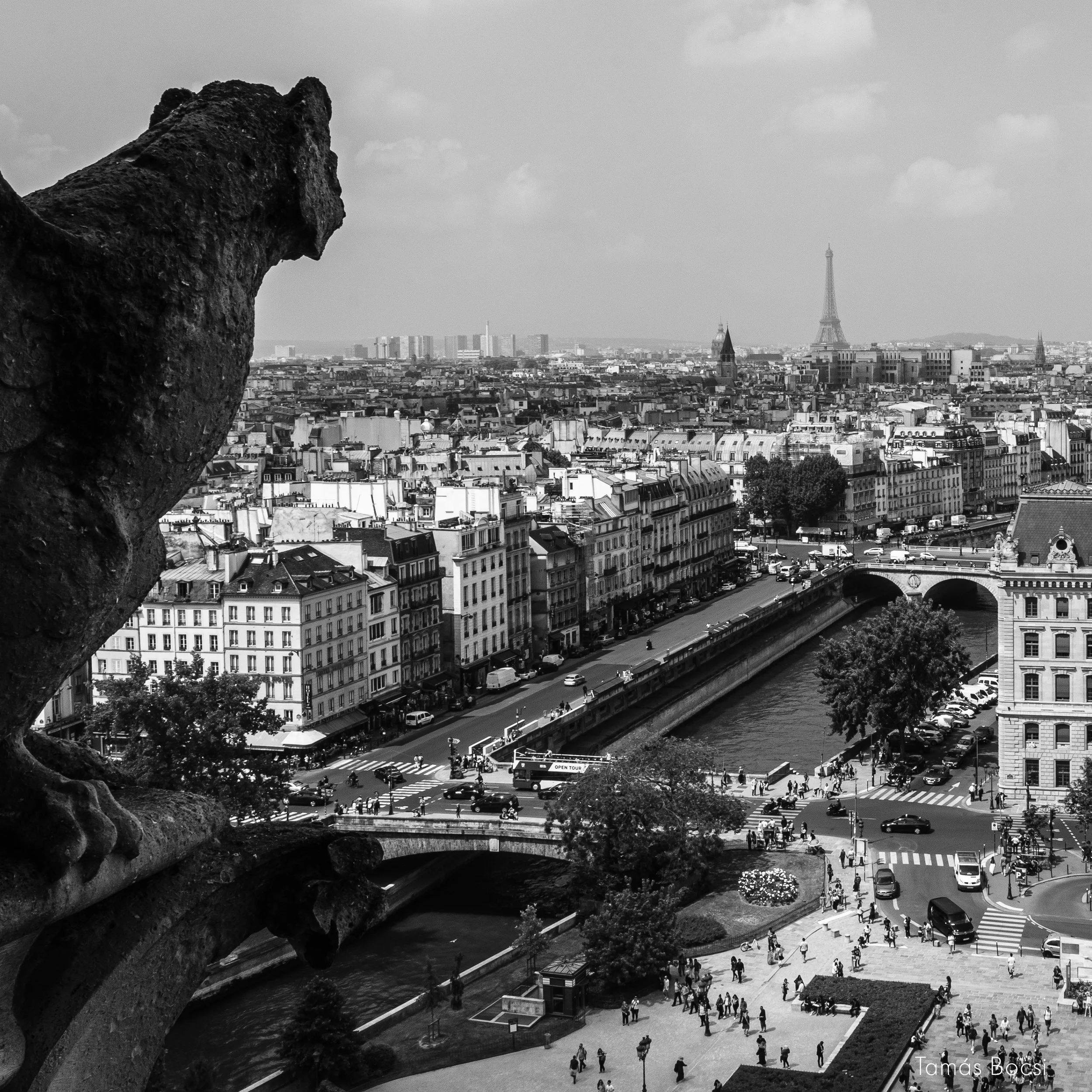 Paris-Gargole_Closeup-detail.jpg
