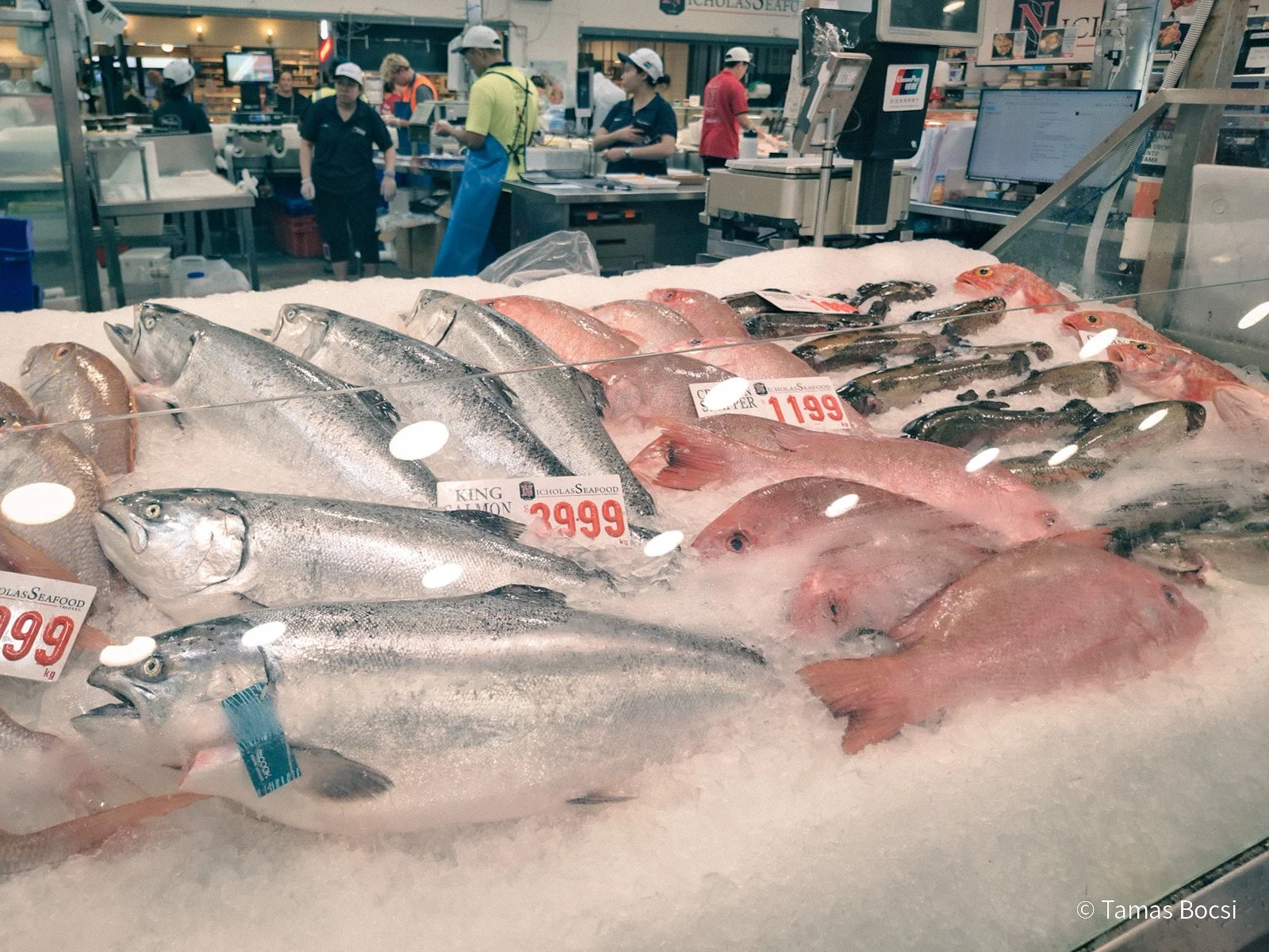 Fish in Sydney Fish Market