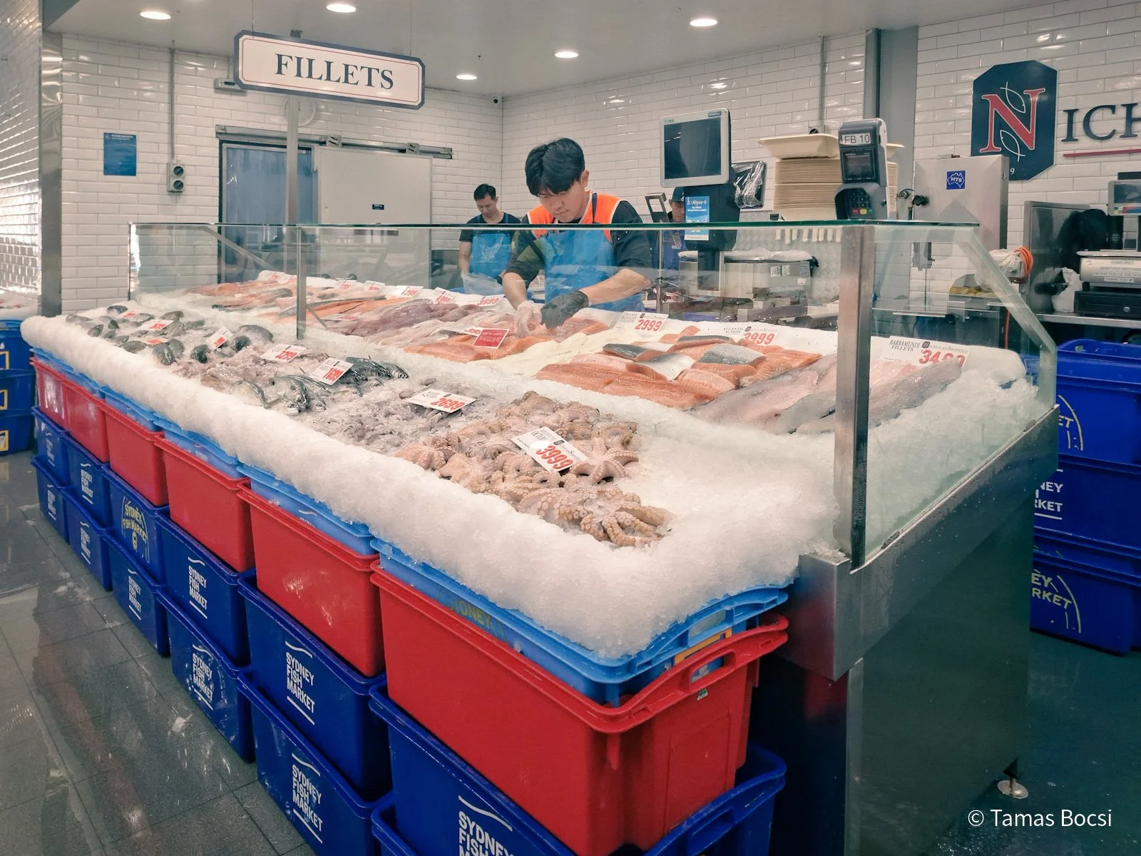 Fish in Sydney Fish Market