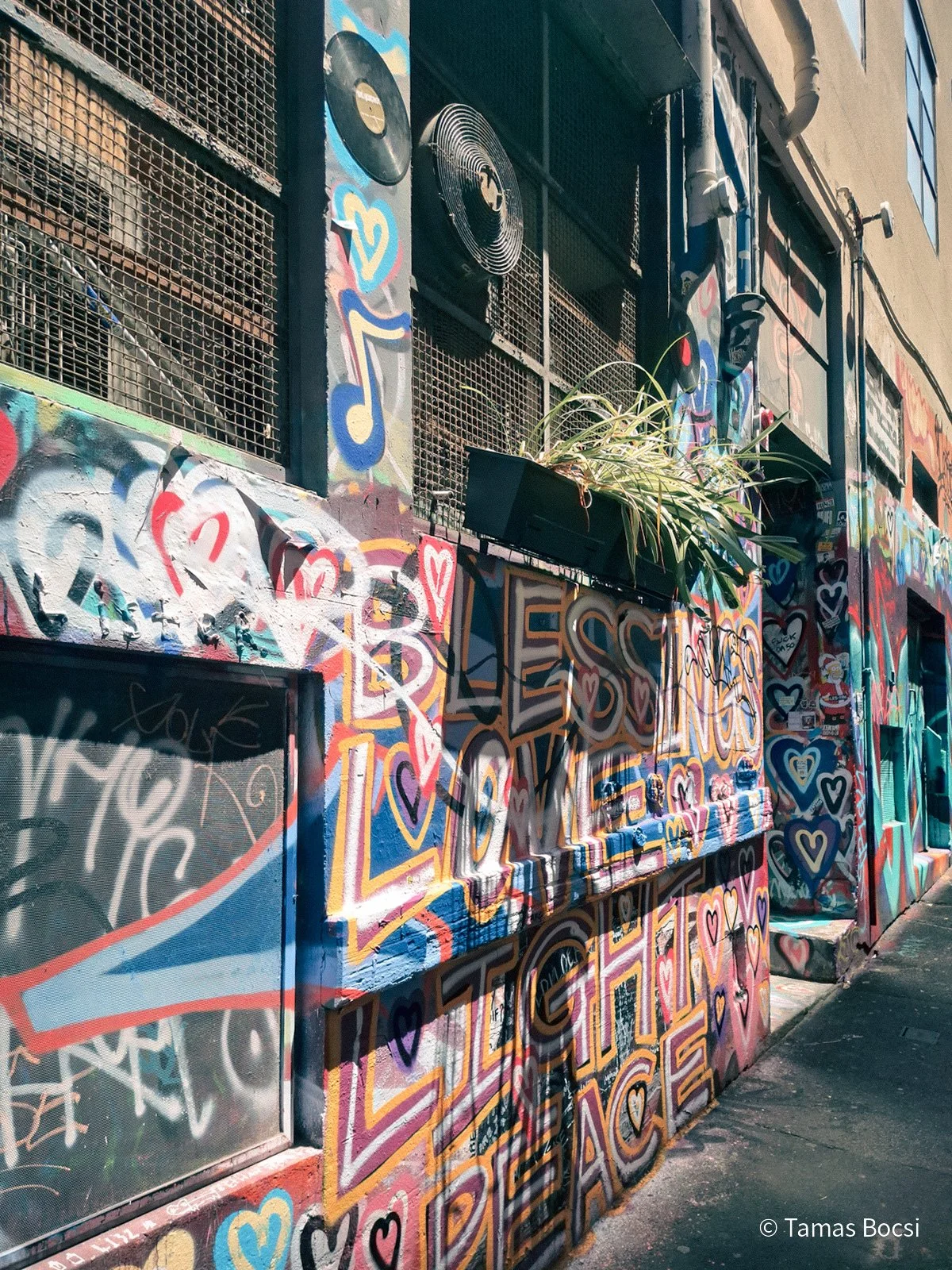 Hosier Lane - Street Art